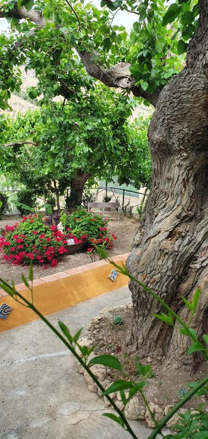 Casa Vacanze Fondaco Di Scillato Scillato  Extérieur photo